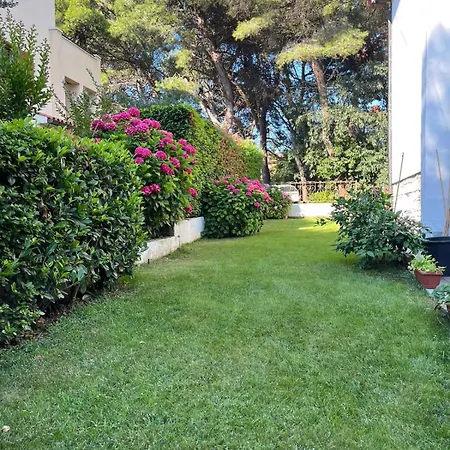 In - Istrien 26834 * 普拉