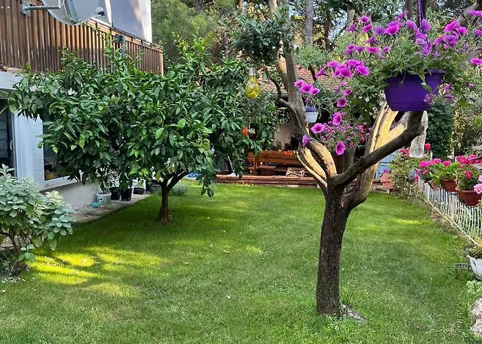 In - Istrien 26834 פולה